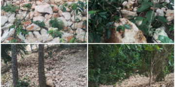 Productores agrícolas de Polo anuncian demanda contra constructora COGUSA, el BID y Obras Públicas por daños a sus propiedades